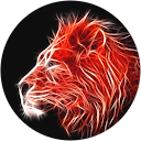 Nick S. profile picture